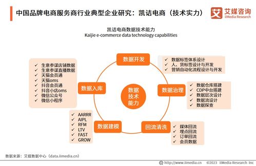 2023年中國品牌電商服務商行業研究報告 信息技術咨詢服務的價值重塑與趨勢洞察