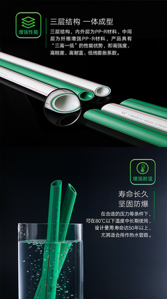 以自然為筆，鐫刻時代之美 偉星產品廣告設計海報的魅力解析